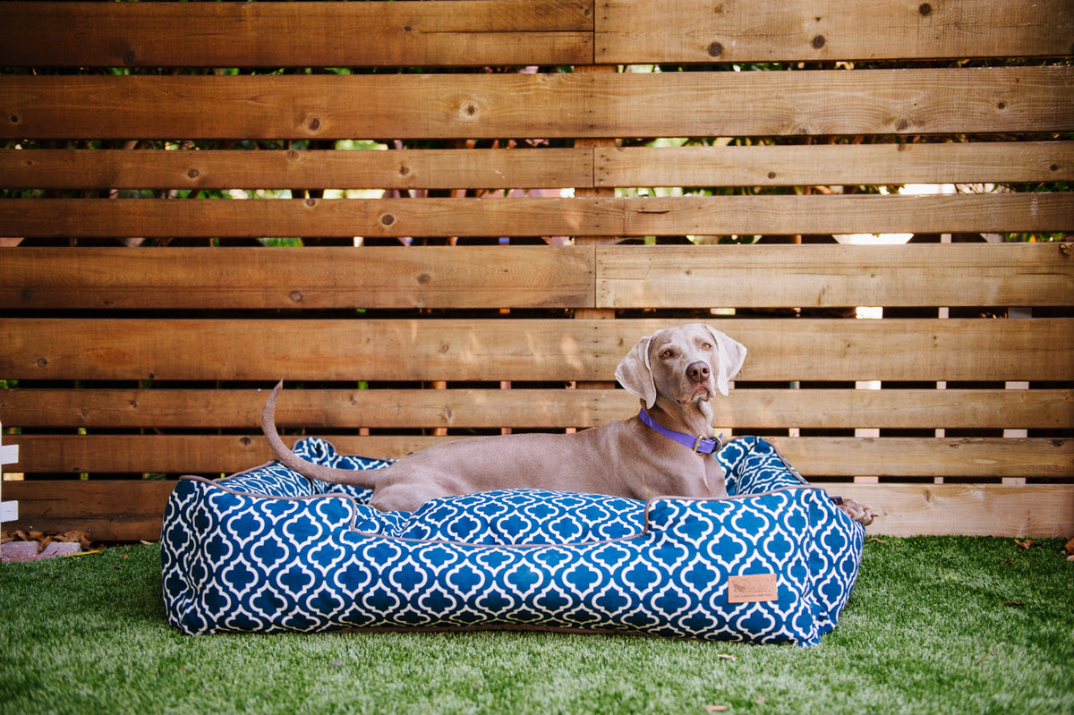 Trending models among P.L.A.Y. beds pads pillows and tents