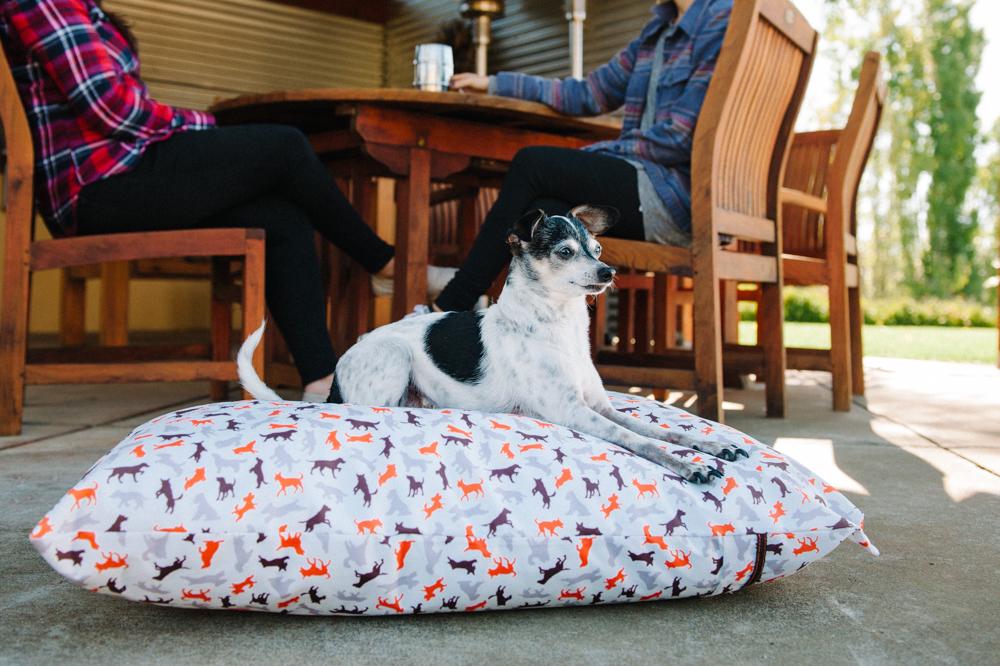 Outdoor deals dog pillow