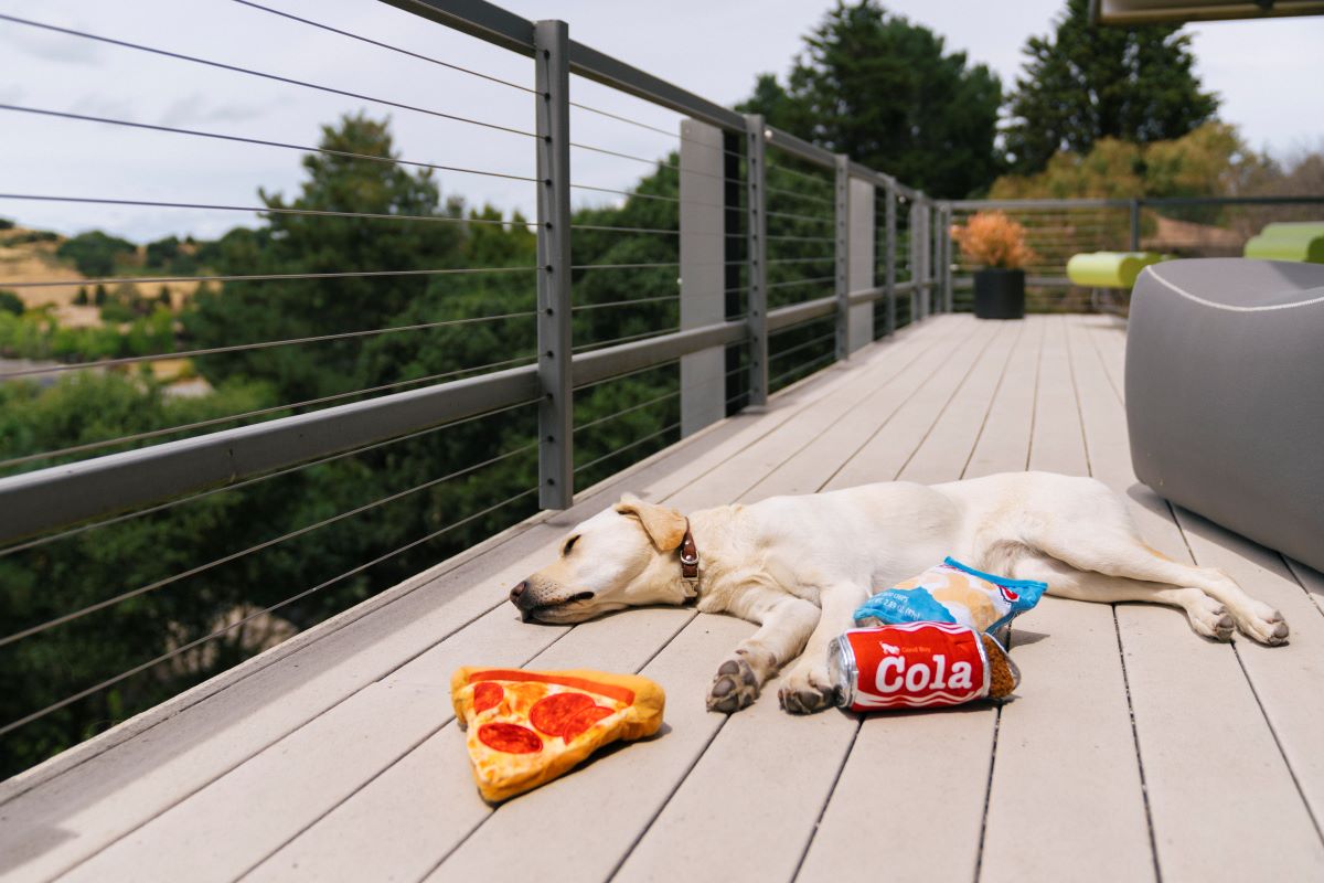 Snack Attack Collection