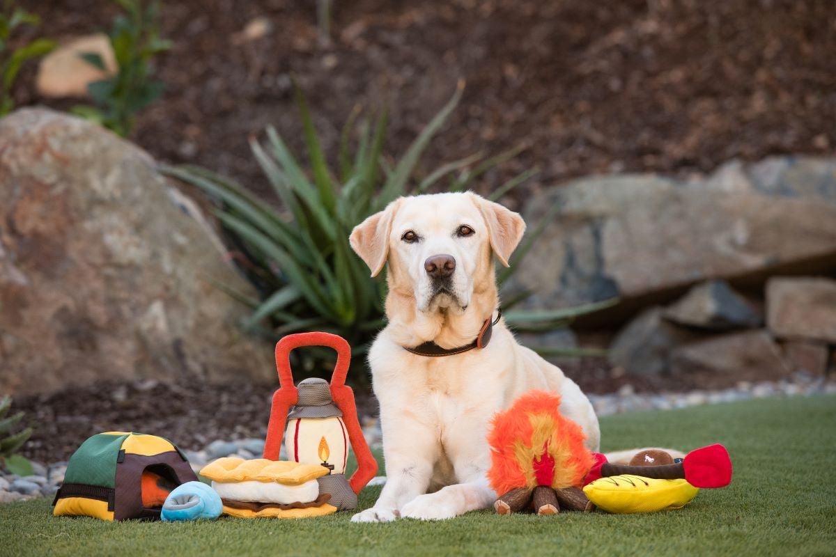 Play dog shop sets