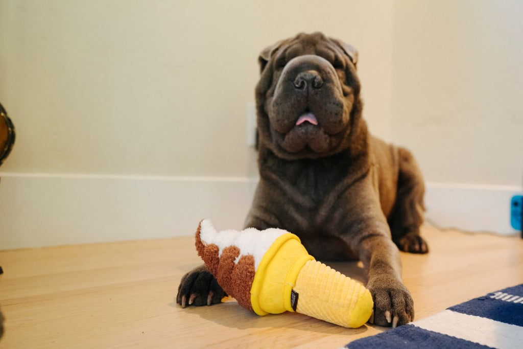 Dog snack discount toy
