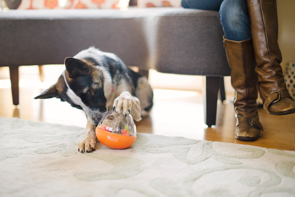 Wobble Ball Enrichment Toy Tricky Treat Ball