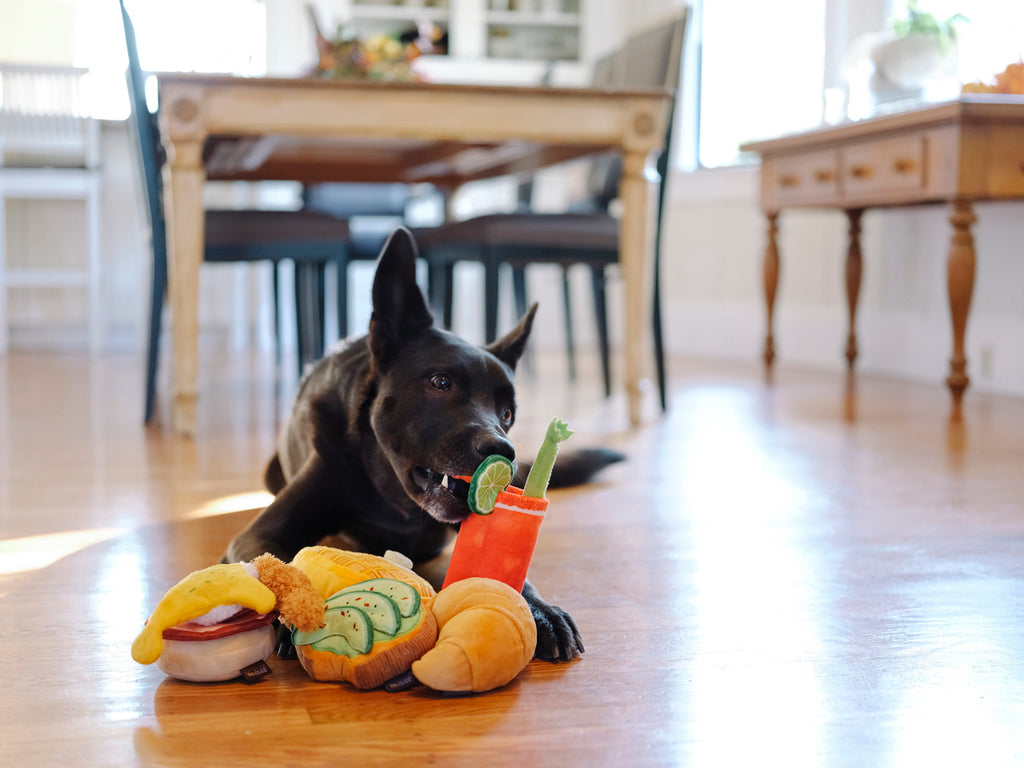 Barking Brunch Dog Toys – Cafe BoneJour