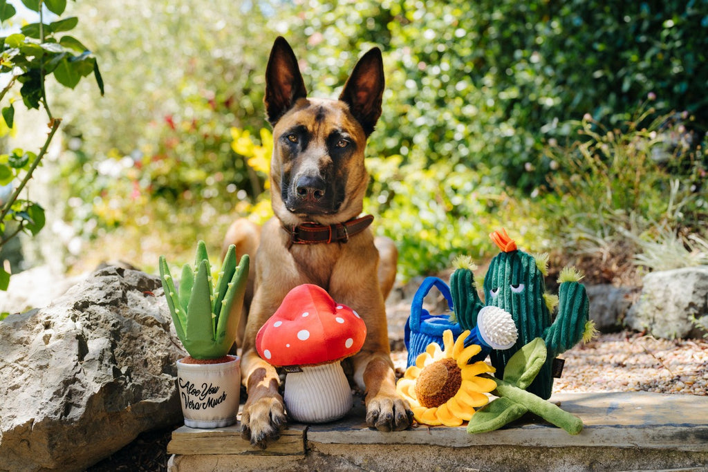 P.L.A.Y Plush Toy, Blooming buddies, collection, with Brown German shepherd sitting in the garden, SKU PY7138AUF, Barcode 817152019732