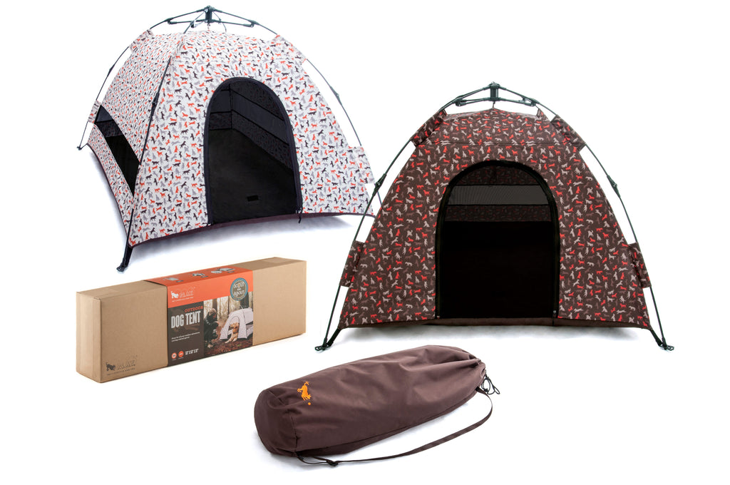 play_scout_and_about_outdoor_tent_both_colors_and_packaging. SKU: PY6006BSF, GTIN12: 817152015178